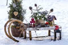 Podľa Ivy sú sezónne dekorácie rovnako dôležité ako správne zvolené rastliny. Dávajú človeku šancu spomaliť a vidieť krásu napríklad aj v obyčajných borovicových šiškách