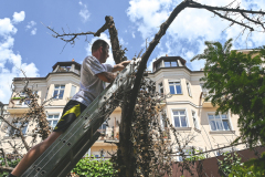 Hornbach opäť pomohol skrášliť Slovensko