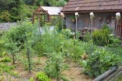 Nevyhnutná zeleninová záhradka ozdobená stĺpikmi so slamou v hrnčekoch, ktoré slúžia okrem iného ako úkryt pre užitočný hmyz