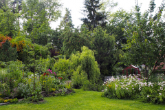 Pohľad do severozápadnej časti záhrady so skleníkom a malým jazierkom