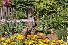 Kačice indické bežce pomáhajú majiteľom záhrady v „boji“ s premnoženými slizniakmi
