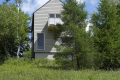 Urastené stromy na pozemku ponechali. Dreviny v bezprostrednej blízkosti domu pred poškodením počas stavby chránilo debnenie