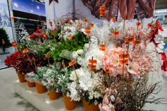 (Ne)Tradičné Vianoce roku 2020