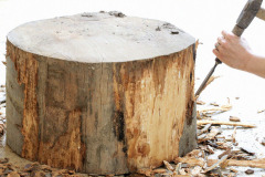 2 - Kladivom a dlátom odstráňte kôru