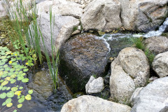 Tečúca voda vnáša do záhrady dynamiku