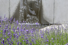 Minimalisticky poňatý vodný prvok skvele oživí mestskú a modernú záhradu