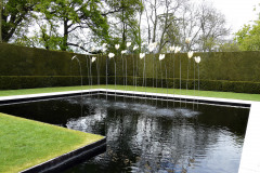 Tmavá vodná hladina kontrastuje s okolitou vegetáciou v živých farbách