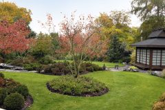 Trávnik predstavuje v koncepcii morskú hladinu, azalkové kopce farebné ostrovy v šírom mori a koruny stromov ľahko ohýbané vetrom sú putujúce oblaky. Kompozícii dominuje muchovník, ktorý farbí záhradu do červena, kopce sú vysadené azalkami a zakrpatenými borovicami