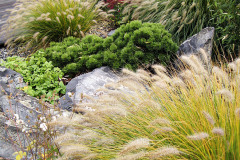 Klasické vodné jazierka síce v záhrade nenájdete, ale iste postrehnete dômyselné radenie kameňov, ktoré evokujú plynúci potok alebo vytvárajú prírodné útvary s dažďovou vodou. To všetko v nevyhnutnom sprievode najrôznejších druhov okrasných tráv