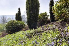 „Hovorí sa, že záhrada učí človeka trpezlivosti. Nás však prekvapuje, ako rýchlo všetko rastie. Spočiatku vyzerala ako prázdna nádoba, neuplynulo ani desať rokov a máme pocit, že je naplnená po okraj, akoby tu bola odjakživa,“ hovorí majitelia