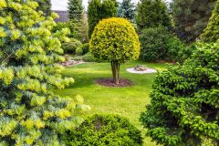 Výhľadu od domu dominuje solitérne tvarovaná tuja. V pozadí je umiestnený zaujímavý prírodný tvarovaný kameň, ktorý je obsypaný bielymi kamienkami