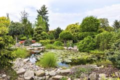 Jazierko (22 m³) posiate leknami by sa dalo nazvať srdcom tejto záhrady. Spoločnosť mu robí okrem kameňov a tráv aj žltý smrek východný (Picea orientalis) a vzadu borovica lesná tvarovaná na kmienku (Pinus sylvestris) a kosodrevina (Pinus mugo), ktorú už majitelia starostlivo tvarujú do obláčikov