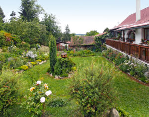 Keď necháte prírodu tvoriť