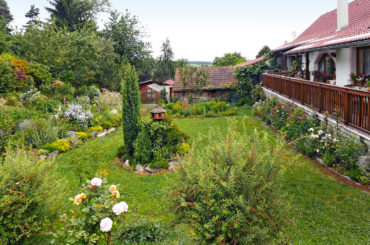 keď necháte prírodu tvoriť