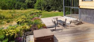 Záhrada v tieni vysokého brestu