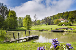Návšteva veľkorysej záhrady bez hraníc