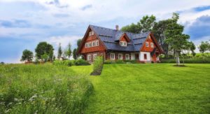 Trávnik alebo lúka? Čomu dať na záhrade prednosť?