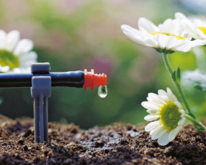 TÉMA: Voda nad zlato