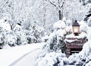 Poézia záhrady pod snehom