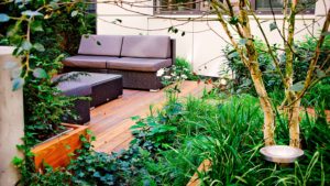 7P alebo nový rok s novou záhradou