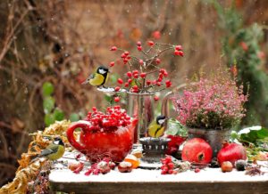 Predjarie v záhrade