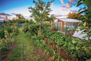 Klopené a vyvýšené záhony