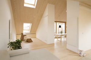 Podkrovie a strešné okná: Svetelný komfort na poschodí