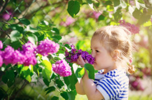 Máj a jún v záhrade