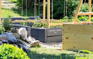 Ako na to: Vyvýšený záhon pre rajčiny